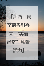 江西：夏至荷香引客来 “美丽经济”添新活力