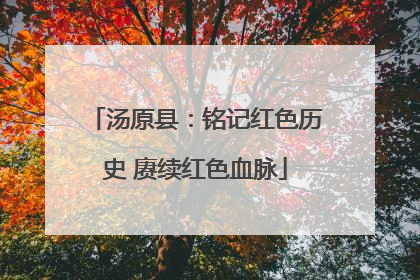 汤原县：铭记红色历史 赓续红色血脉