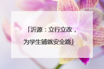 沂源：立行立改，为学生铺就安全路