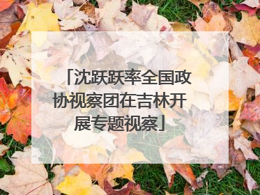 沈跃跃率全国政协视察团在吉林开展专题视察