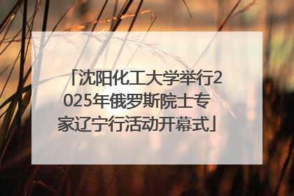 沈阳化工大学举行2025年俄罗斯院士专家辽宁行活动开幕式
