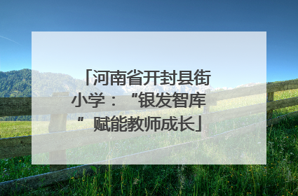河南省开封县街小学：“银发智库”赋能教师成长