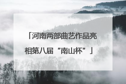 河南两部曲艺作品亮相第八届“南山杯”