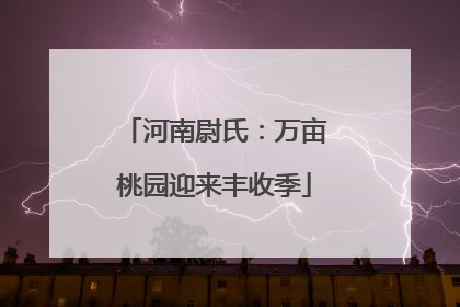 河南尉氏：万亩桃园迎来丰收季