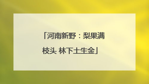河南新野：梨果满枝头 林下土生金