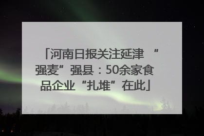 河南日报关注延津 “强麦”强县：50余家食品企业“扎堆”在此