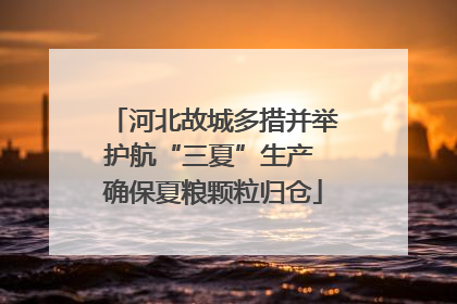 河北故城多措并举护航“三夏”生产 确保夏粮颗粒归仓
