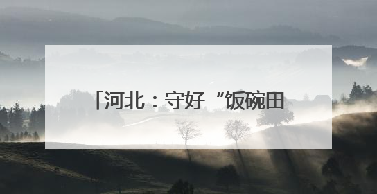 河北：守好“饭碗田” 用好“发展地”