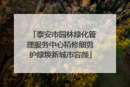 泰安市园林绿化管理服务中心精修细剪护绿焕新城市容颜