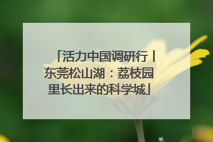 活力中国调研行丨东莞松山湖：荔枝园里长出来的科学城
