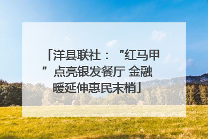 洋县联社：“红马甲”点亮银发餐厅 金融暖延伸惠民末梢