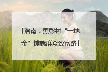 洛南：黑彰村“一地三金”铺就群众致富路