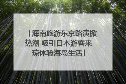 海南旅游东京路演掀热潮 吸引日本游客来琼体验海岛生活