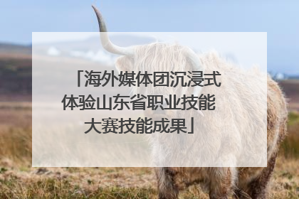 海外媒体团沉浸式体验山东省职业技能大赛技能成果