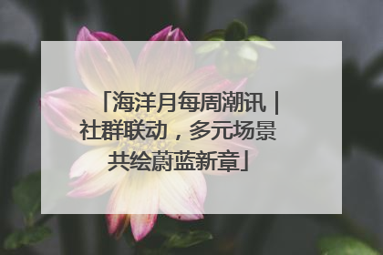 海洋月每周潮讯｜社群联动，多元场景共绘蔚蓝新章