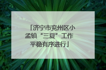 济宁市兖州区小孟镇“三夏”工作平稳有序进行