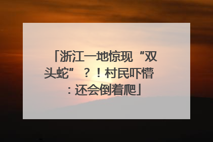 浙江一地惊现“双头蛇”？！村民吓懵：还会倒着爬