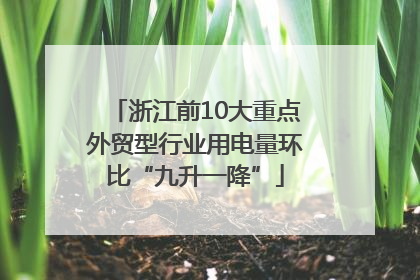 浙江前10大重点外贸型行业用电量环比“九升一降”