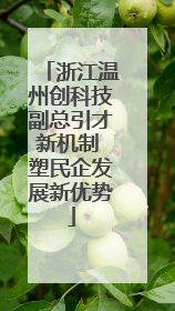 浙江温州创科技副总引才新机制 塑民企发展新优势
