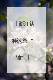 浙江认准这条“轴”