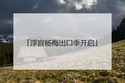 浮宫杨梅出口季开启