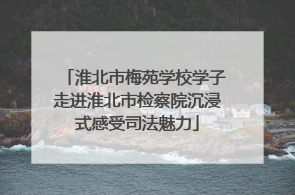 淮北市梅苑学校学子走进淮北市检察院沉浸式感受司法魅力