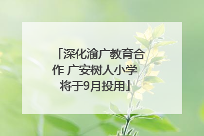 深化渝广教育合作 广安树人小学将于9月投用