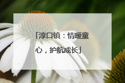 淳口镇：情暖童心，护航成长