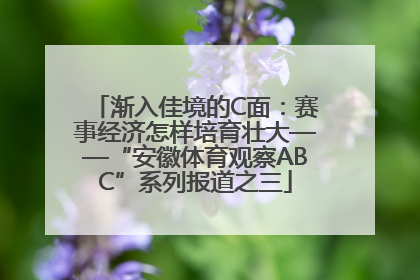 渐入佳境的C面：赛事经济怎样培育壮大——“安徽体育观察ABC”系列报道之三