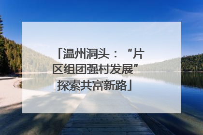 温州洞头：“片区组团强村发展”探索共富新路