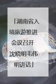 湖南省入境旅游推进会议召开 沈晓明毛伟明讲话