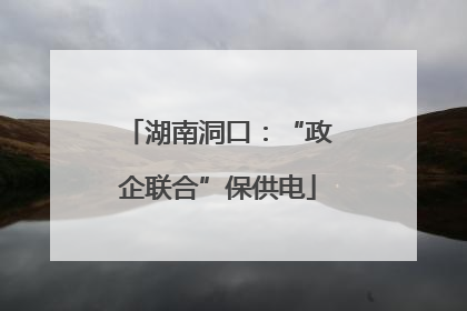 湖南洞口：“政企联合”保供电