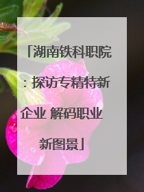 湖南铁科职院：探访专精特新企业 解码职业新图景