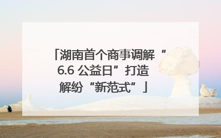 湖南首个商事调解“6.6 公益日”打造解纷“新范式”