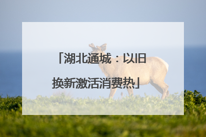 湖北通城：以旧换新激活消费热