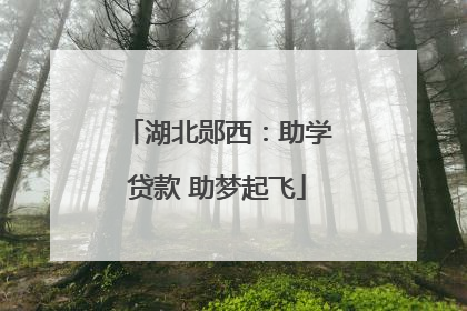 湖北郧西：助学贷款 助梦起飞