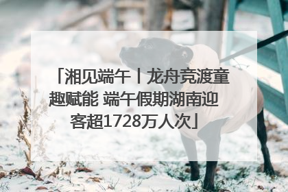湘见端午丨龙舟竞渡童趣赋能 端午假期湖南迎客超1728万人次