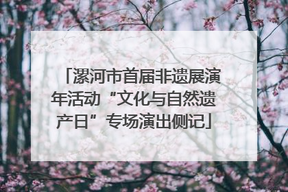 漯河市首届非遗展演年活动“文化与自然遗产日”专场演出侧记