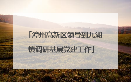 漳州高新区领导到九湖镇调研基层党建工作