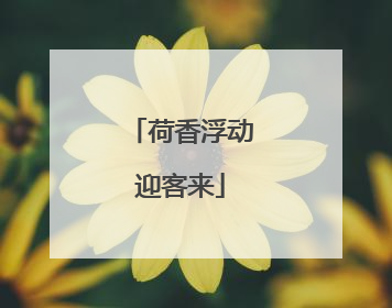 荷香浮动迎客来