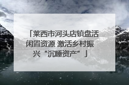 莱西市河头店镇盘活闲置资源 激活乡村振兴“沉睡资产”