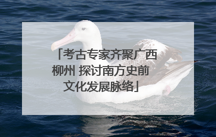 考古专家齐聚广西柳州 探讨南方史前文化发展脉络