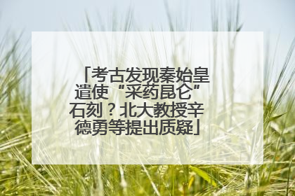 考古发现秦始皇遣使“采药昆仑”石刻？北大教授辛德勇等提出质疑