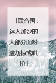 联合国：运入加沙的大部分面粉遭劫掠或哄抢