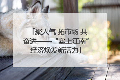 聚人气 拓市场 共奋进——“塞上江南”经济焕发新活力