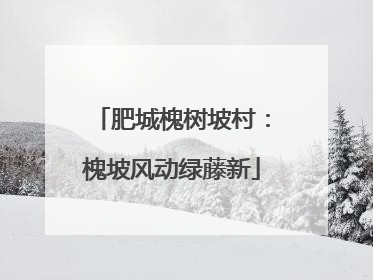 肥城槐树坡村：槐坡风动绿藤新