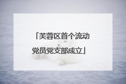 芙蓉区首个流动党员党支部成立