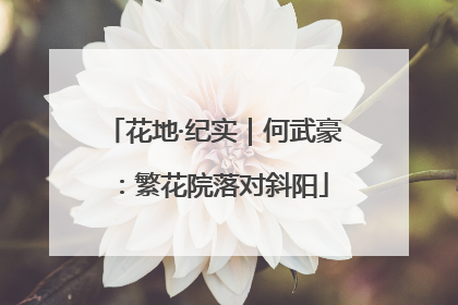 花地·纪实｜何武豪：繁花院落对斜阳