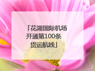 花湖国际机场开通第100条货运航线