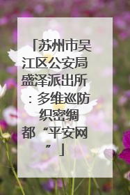苏州市吴江区公安局盛泽派出所：多维巡防  织密绸都“平安网”
